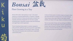 2_bonsai_sign